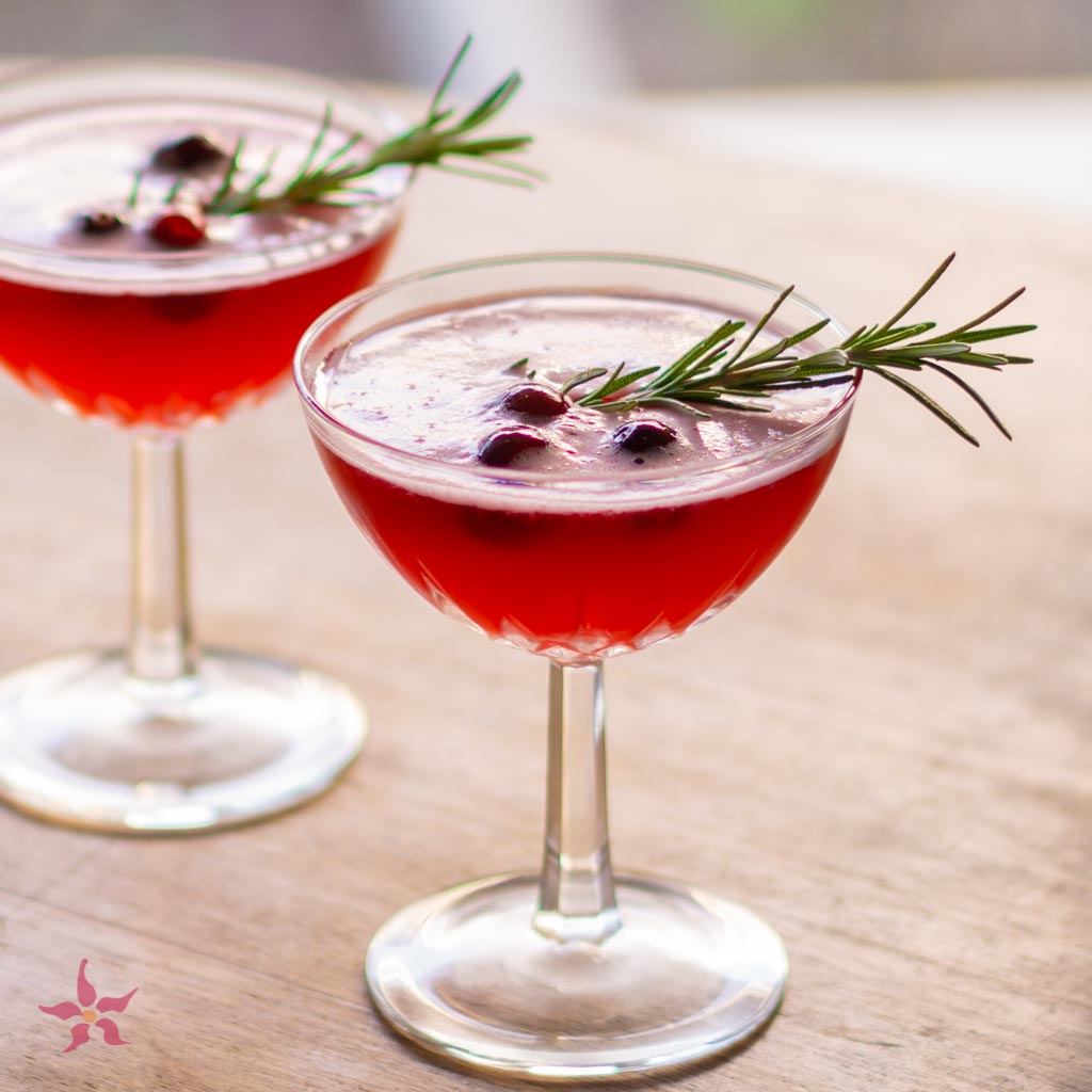 Cranberry Shrub Cocktail