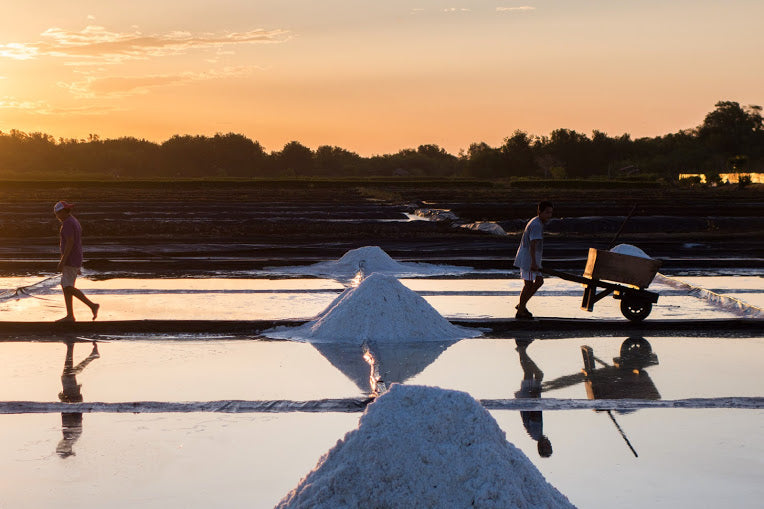 Guatemala salt farm workers wheelbarrowing salt