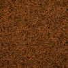 close-up of brown porcini herb salt