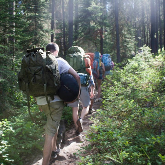 hikers with camping gear in the forest