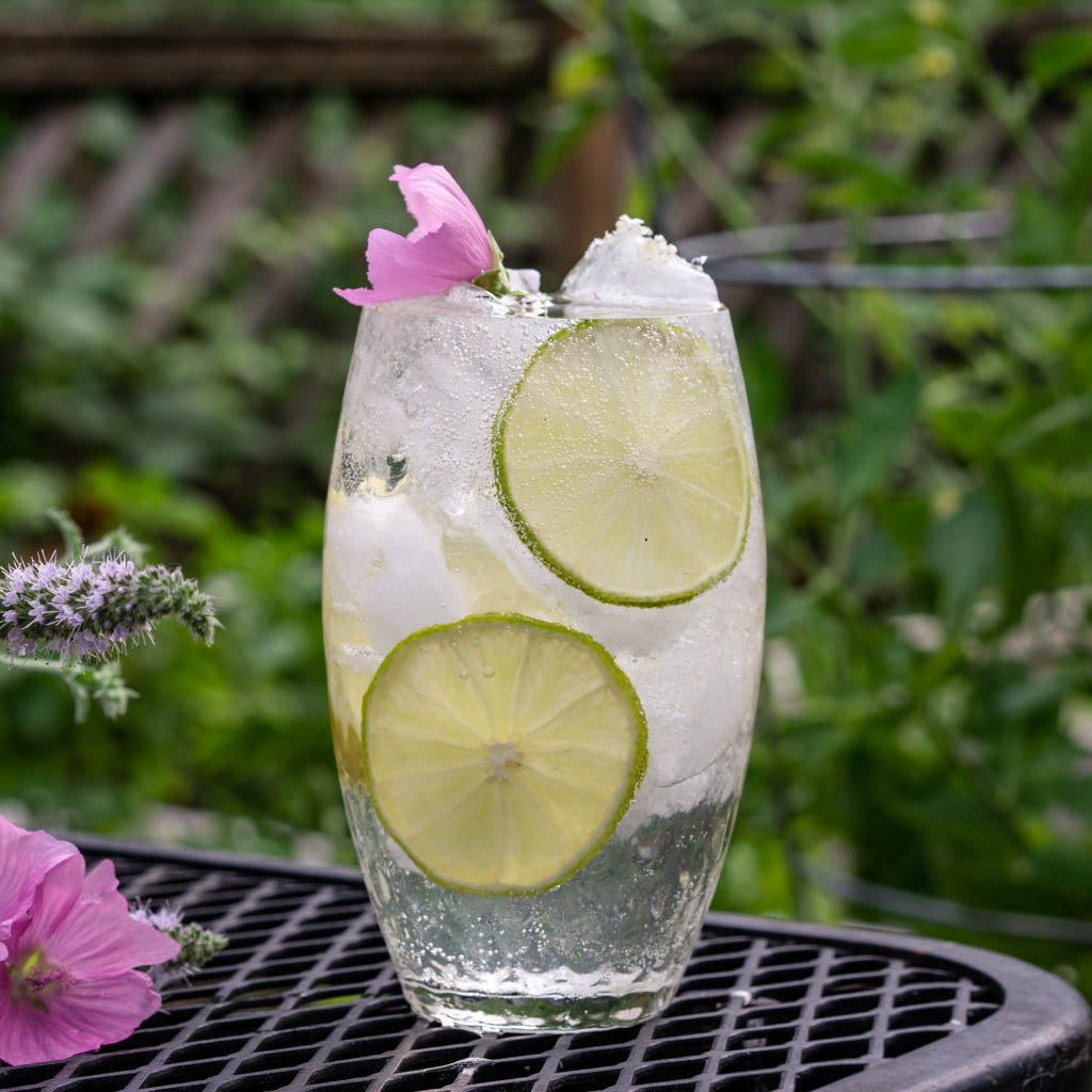 collins glass filled with gin, tonic and two lime slices