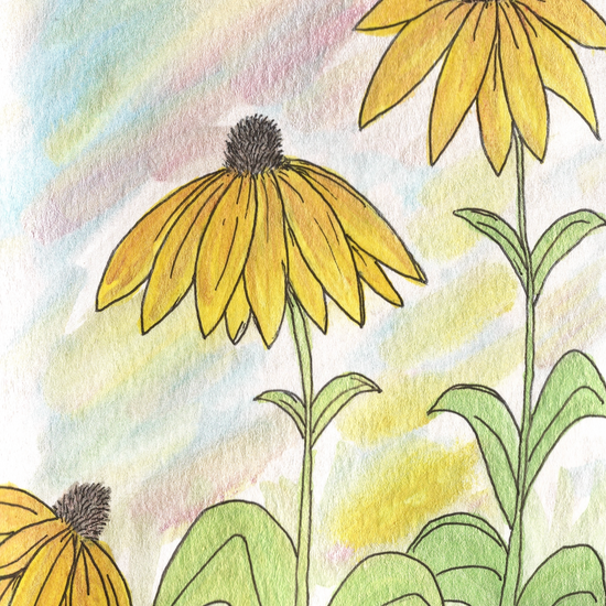 Black Eyed Susan Card by Handmade by Jessica