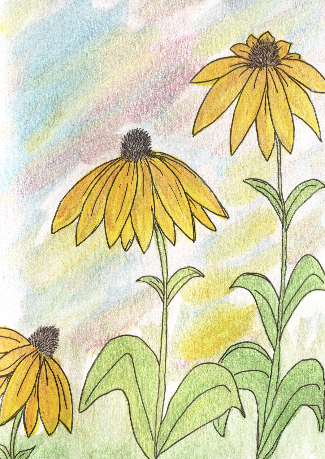 Black Eyed Susan Card by Handmade by Jessica