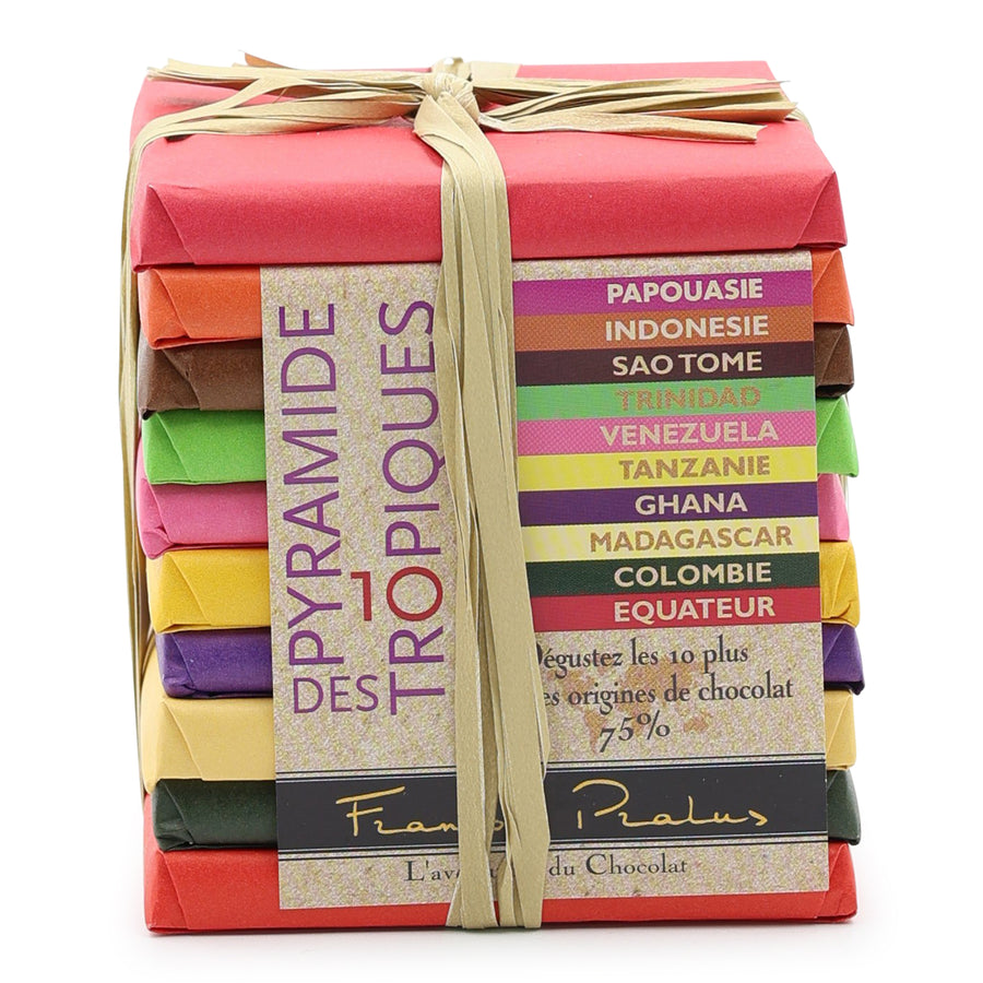 Pralus Pyramide des Tropiques - Set of 10 Dark Chocolates large