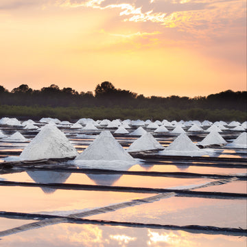 On a first name basis.