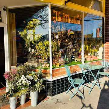 The Meadow Hawthorne Blvd March Windows