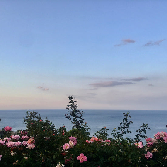 flowers in front of ocean in Sardegna