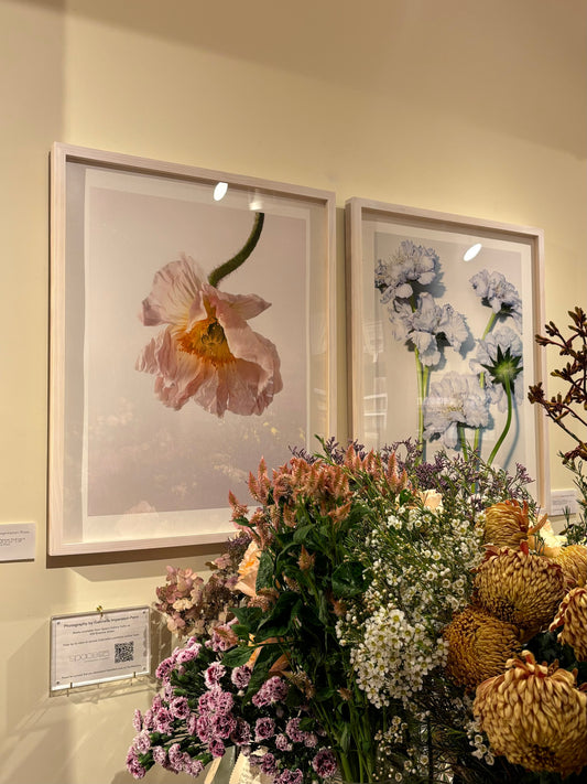 Large 28x22 inch Print by Gabriella Imperatori-Penn