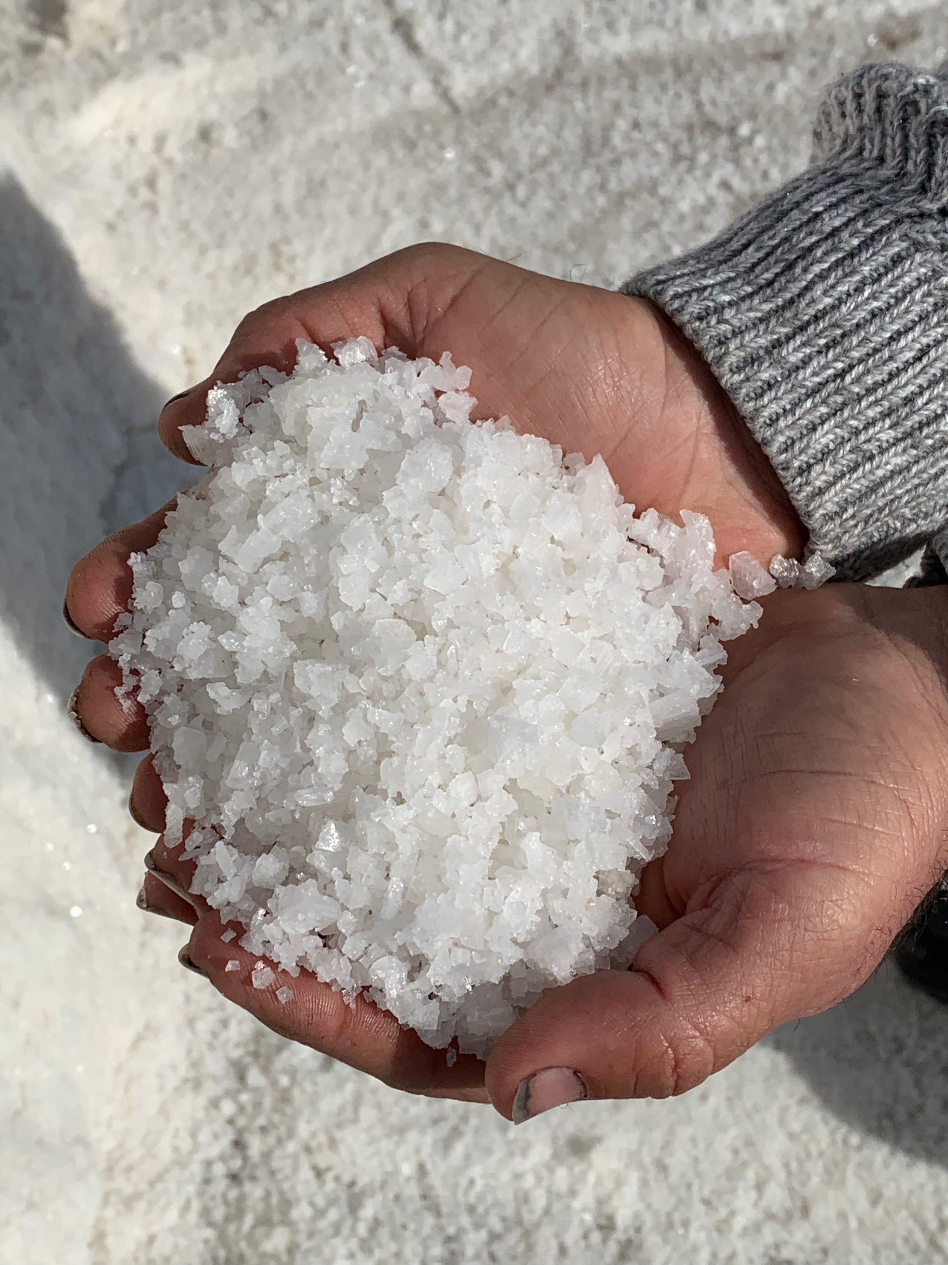 Laguna di Sardegna Sea Salt in hands