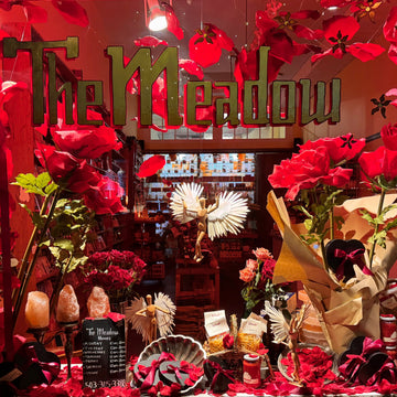 Heart eyes <span style="text-decoration:underline"><em><strong>forever</strong></em></span>.