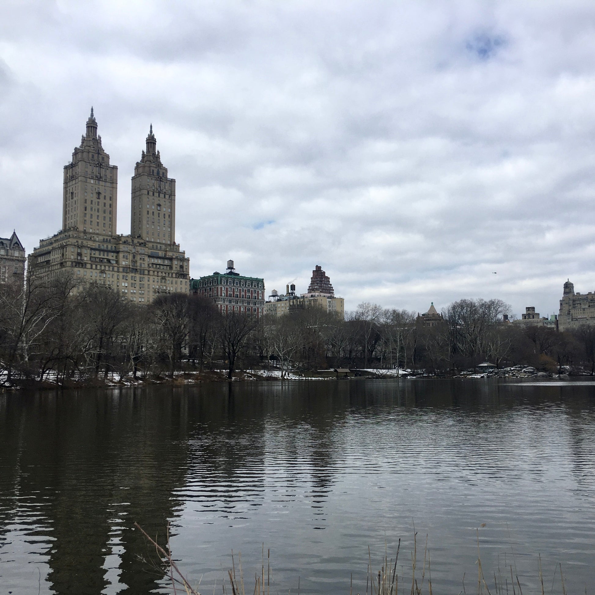 central park, new york city