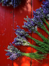 The Meadow Dark Chocolate with Wayward Winds Lavender