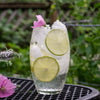 gin and tonic with lime