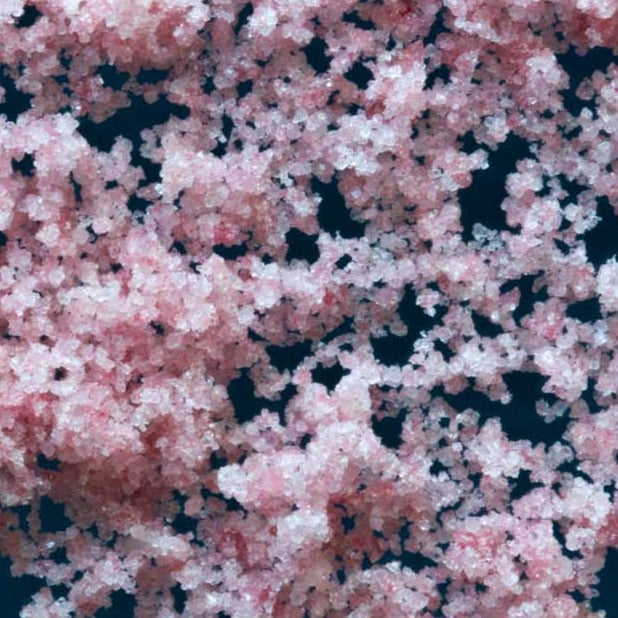 Cherry Plum Japanese Sea Salt