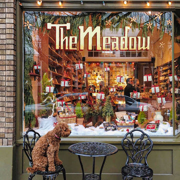 a brown dog seated at a table outside The Meadow NW 23rd Christmas windows
