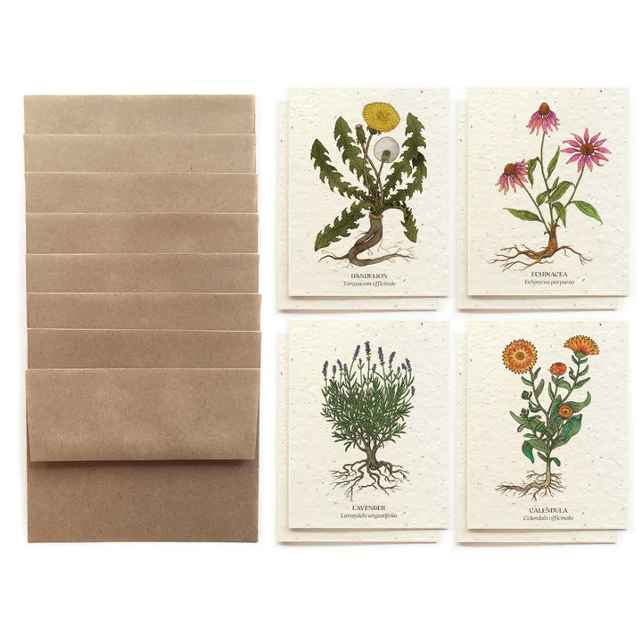 Bower Studio Plantable Card