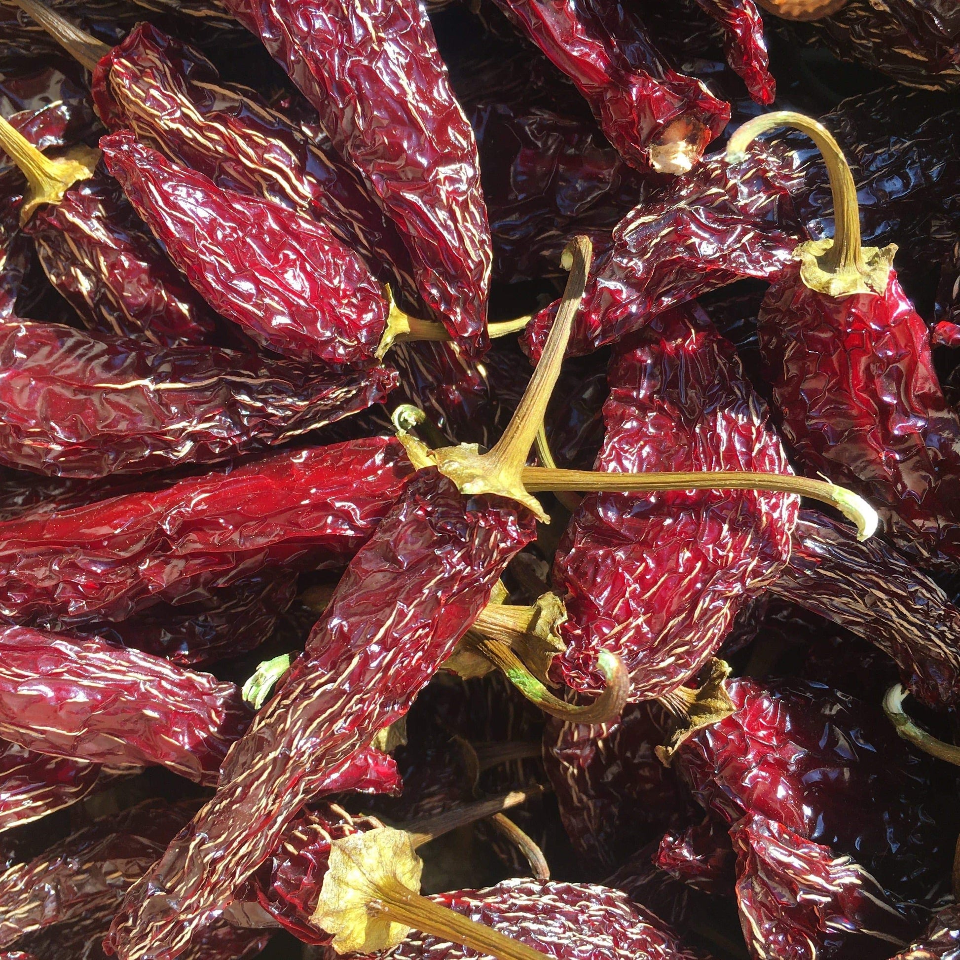 chipotle peppers