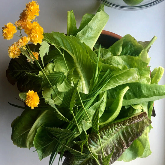 summer-pantry-essentials-kit