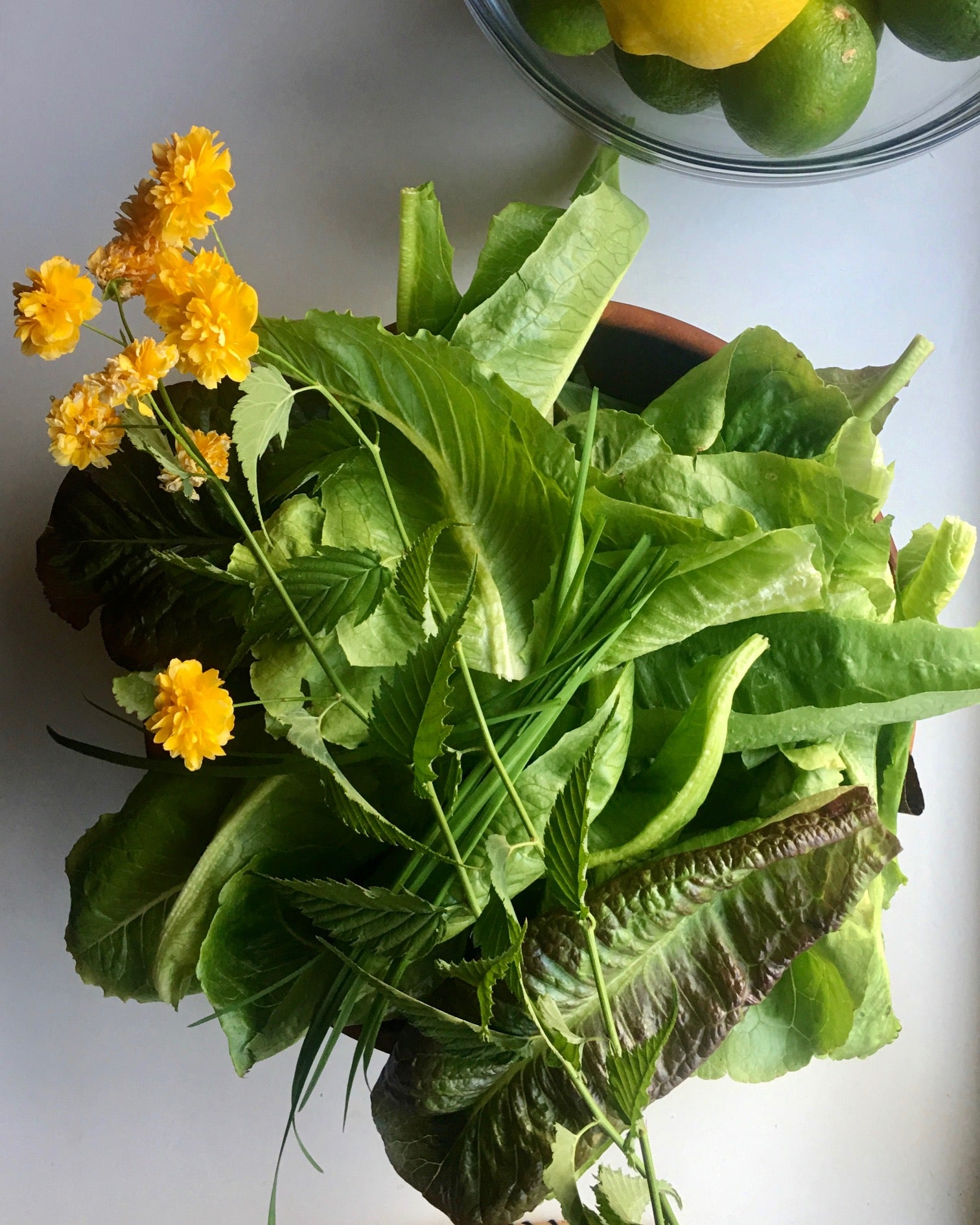 summer-pantry-essentials-kit