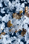 black-truffle-sea-salt