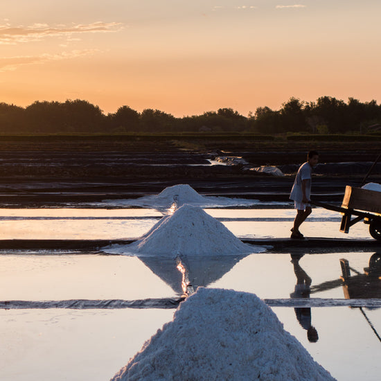 salty-society-worlds-most-sought-after-salts-delivered-straight-to-your-door