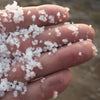 salty-society-worlds-most-sought-after-salts-delivered-straight-to-your-door
